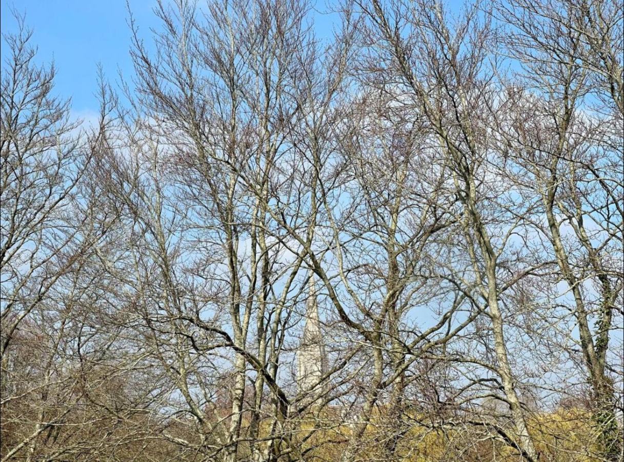 Close To Cathedral *